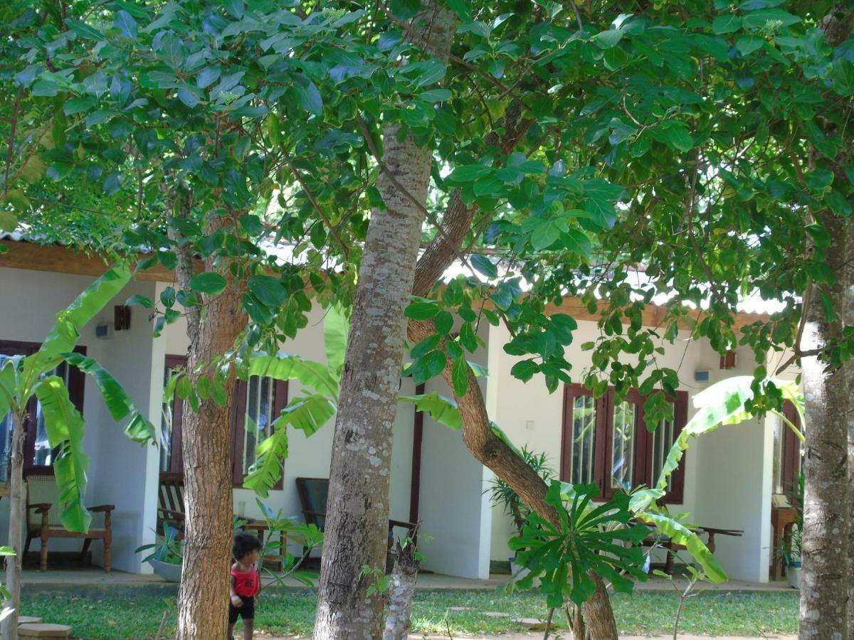 Talalla Coconut Hotel Exterior foto