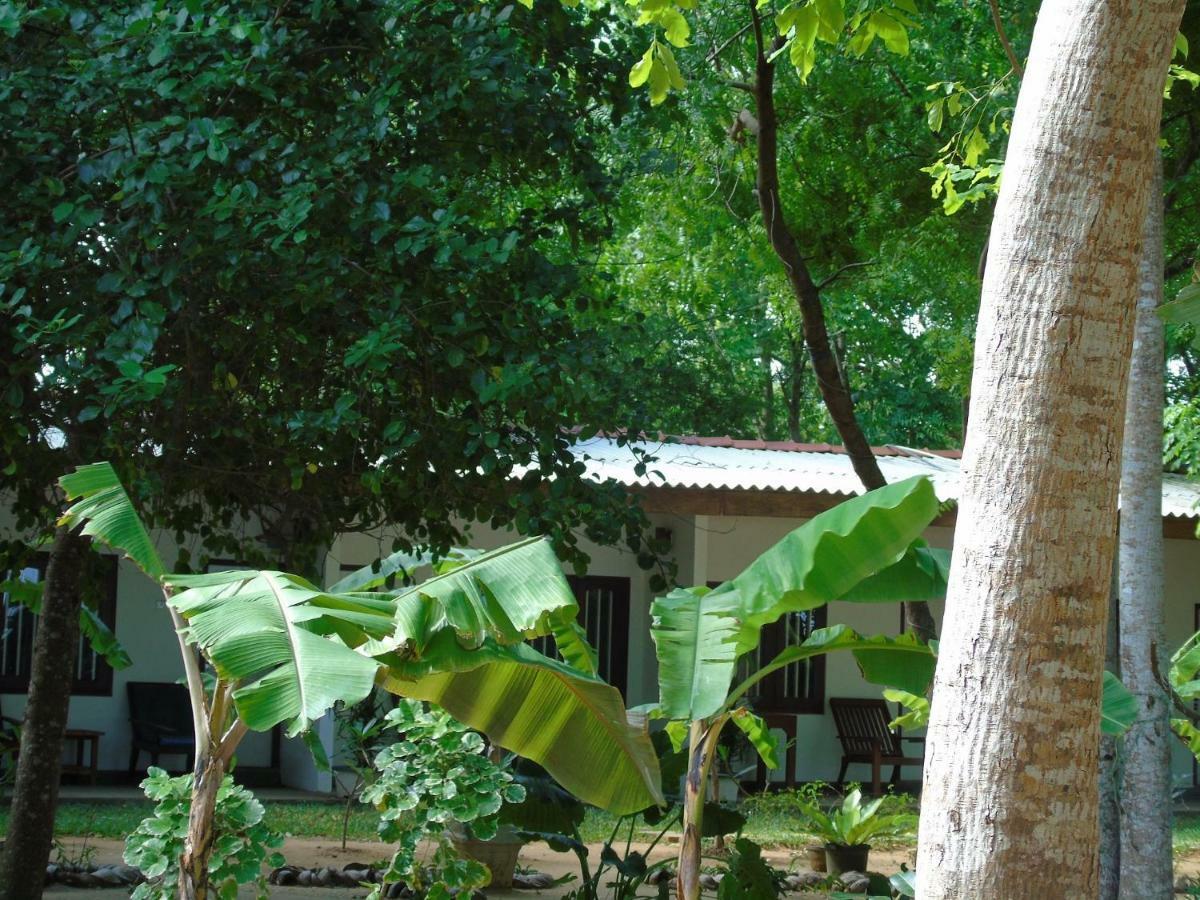 Talalla Coconut Hotel Exterior foto