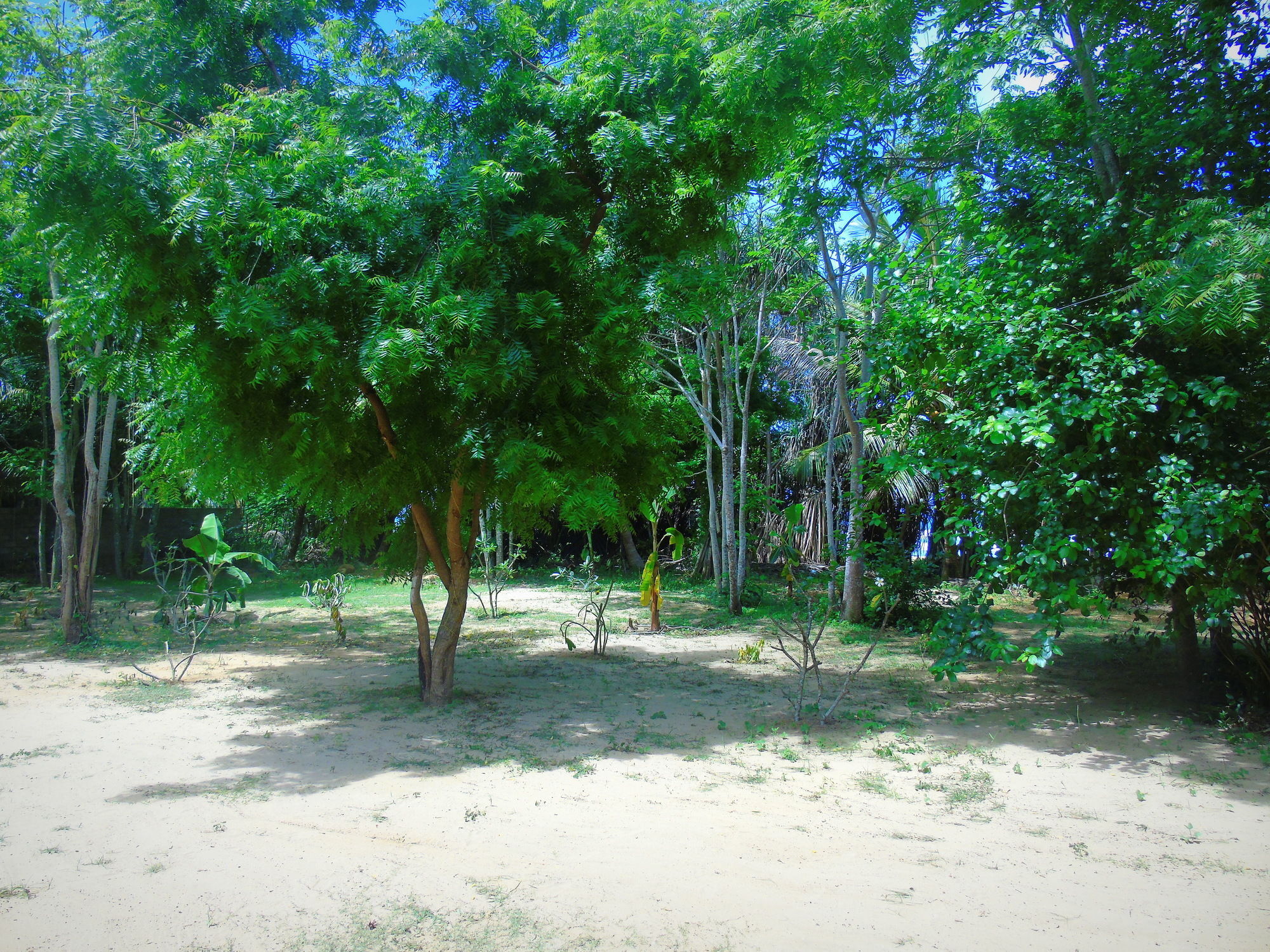 Talalla Coconut Hotel Exterior foto