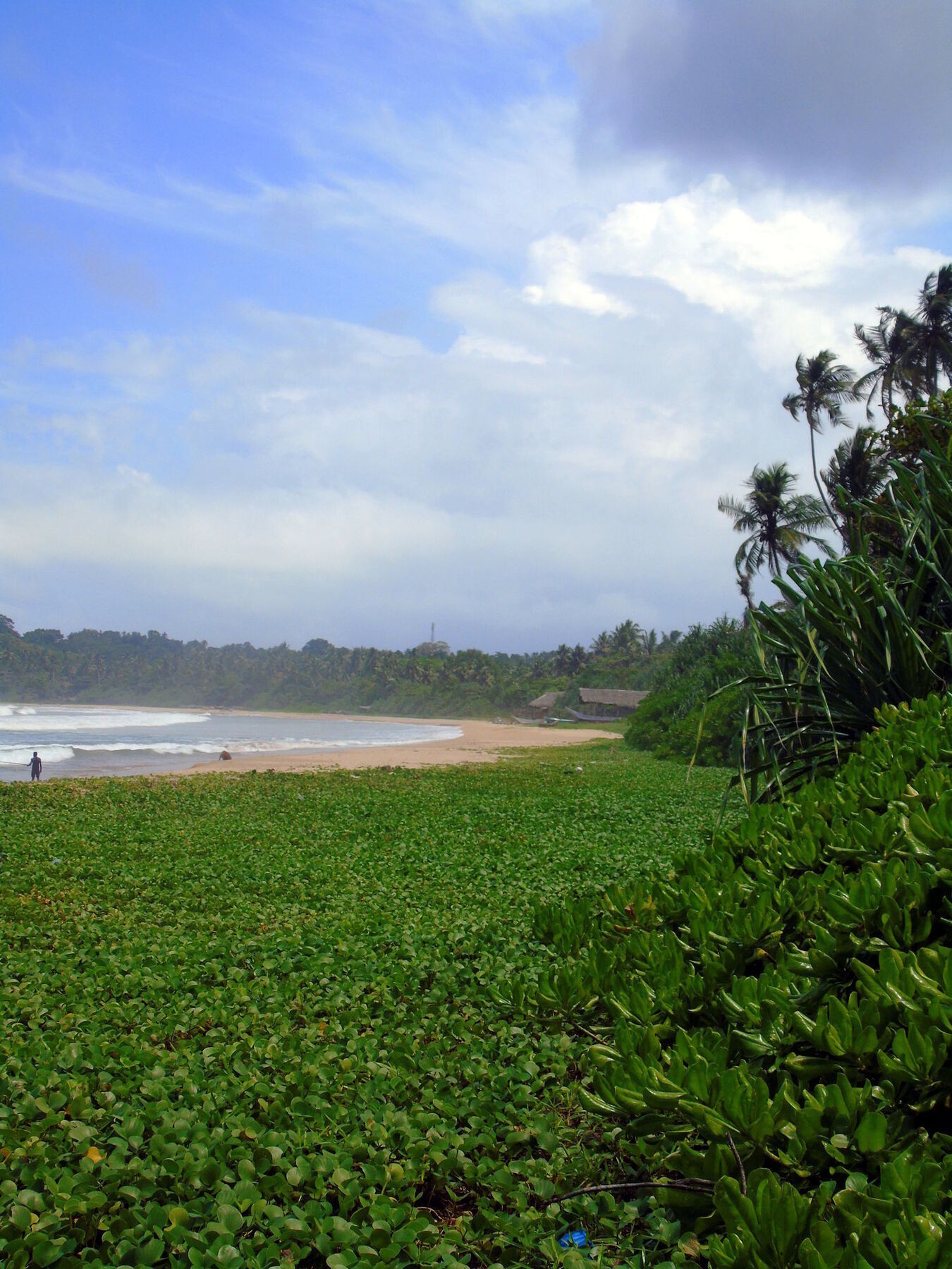 Talalla Coconut Hotel Exterior foto