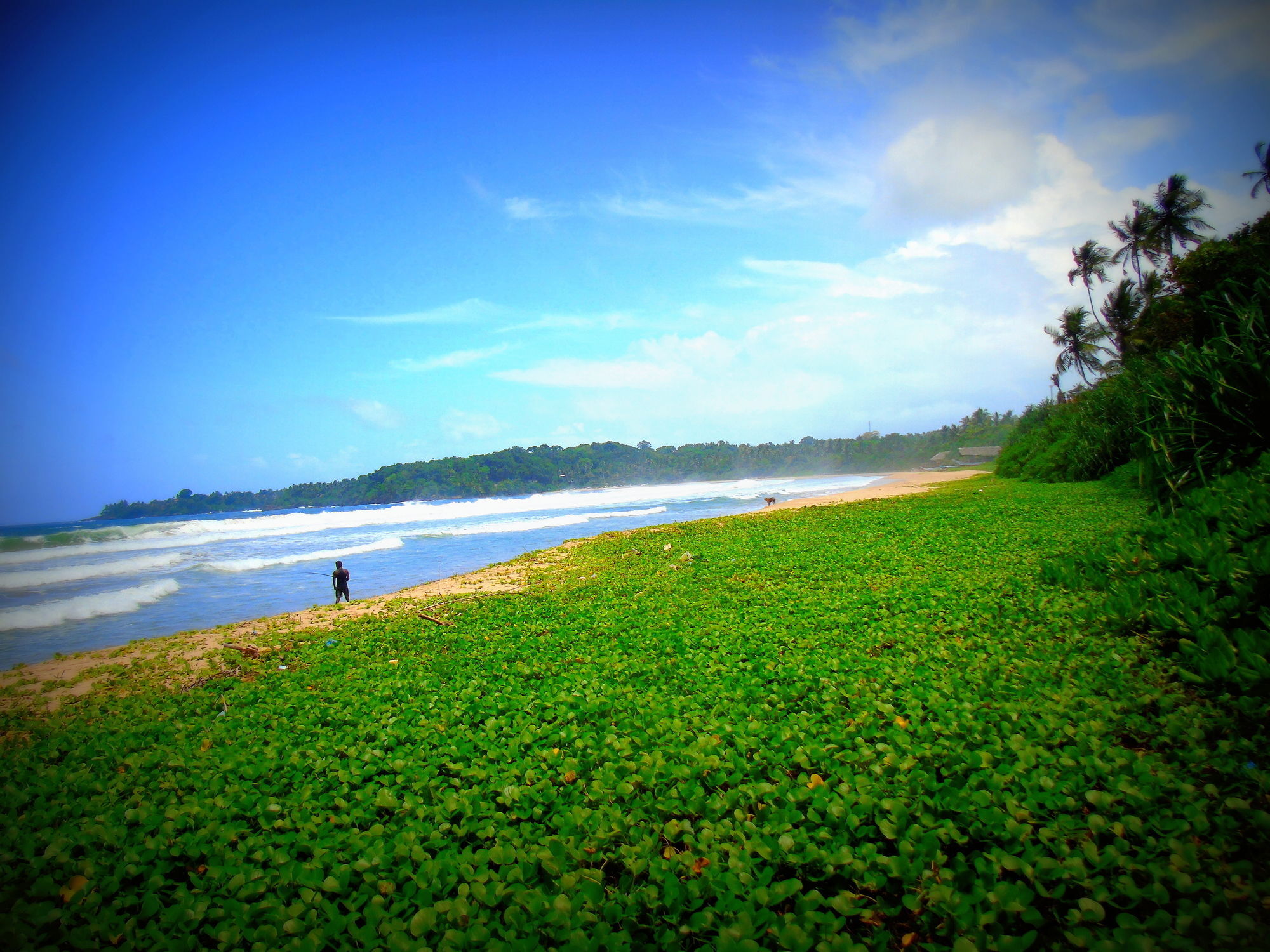 Talalla Coconut Hotel Exterior foto